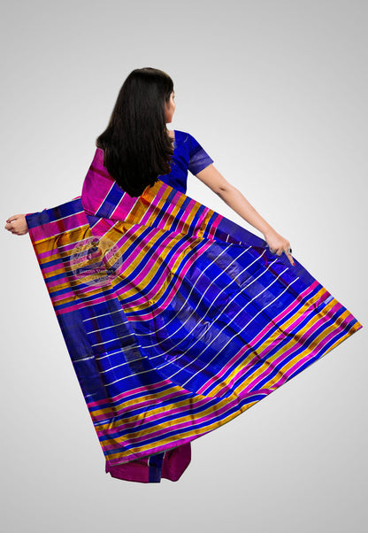 Explore Handloom Silk 4D Saree – Rear angle highlighting woven pallu art